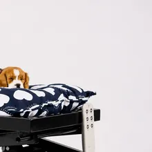 Beagle descansando na caminha